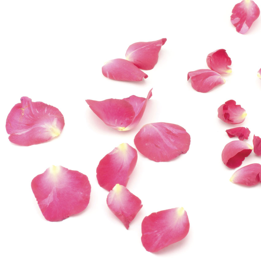 PAGE-DAD-04-PETALS-01-484746449