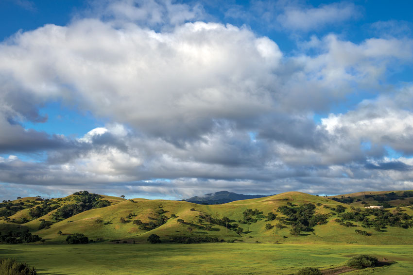 PAGE-ADVERTORIAL-HARVEST-03