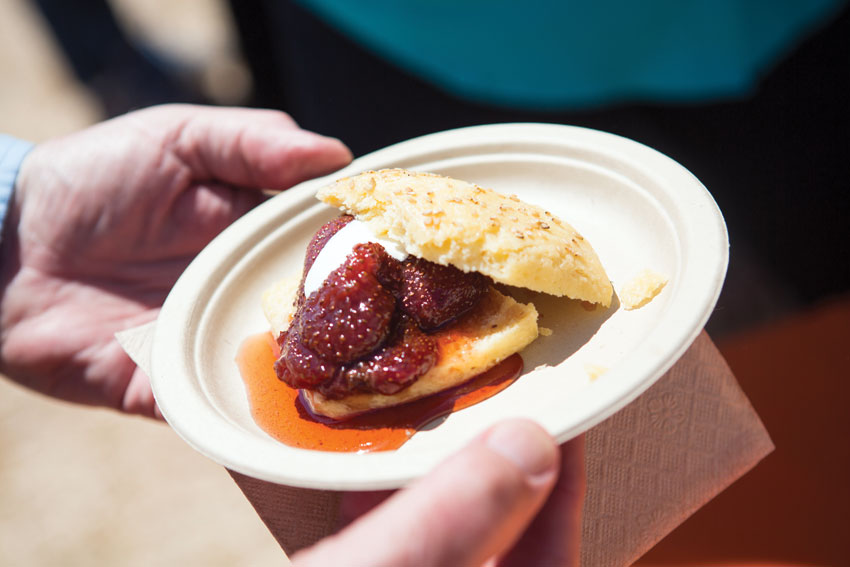 PAGE-ADVERTORIAL-HARVEST-05