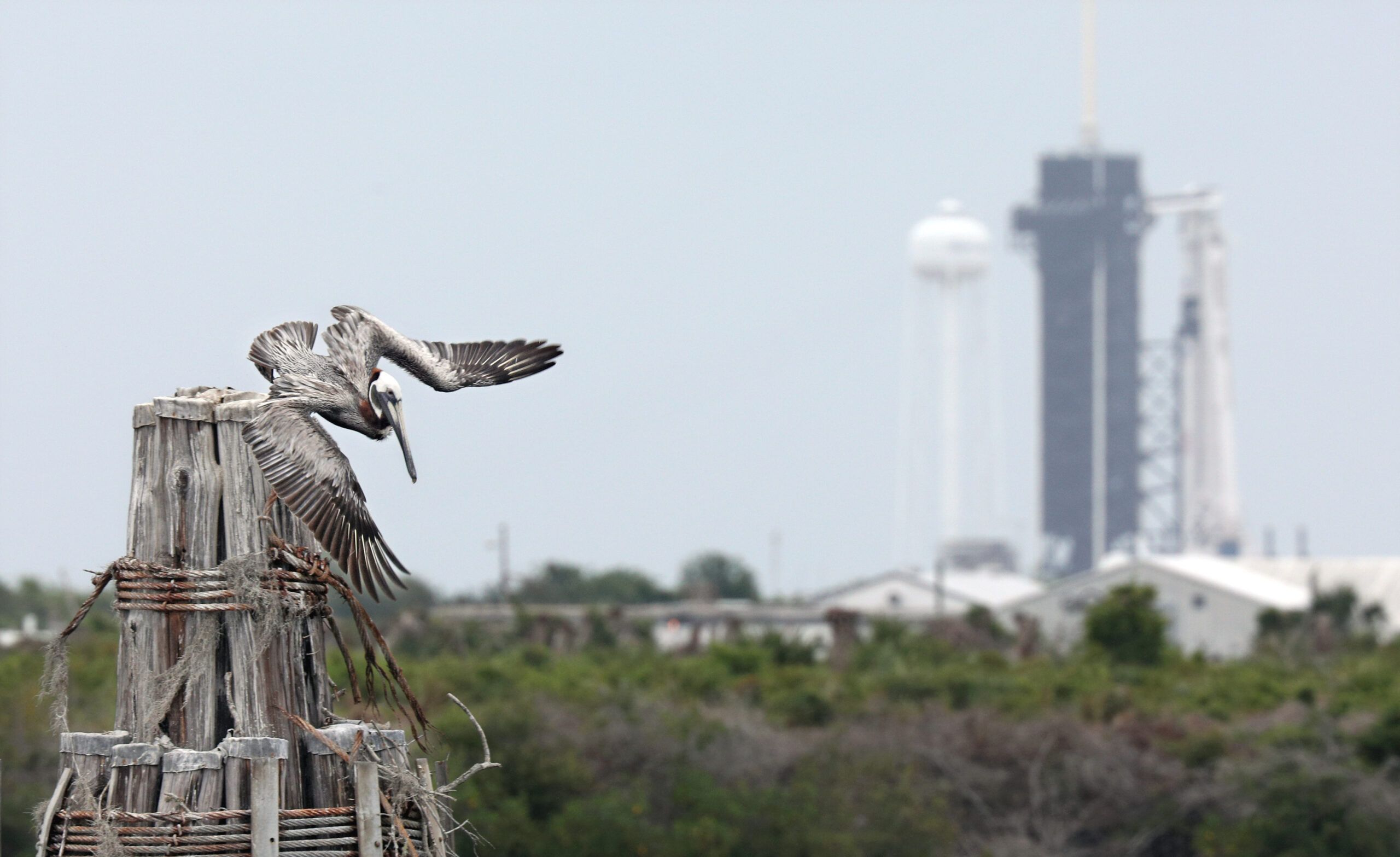 Siliconeer Weather Iffy For Spacex Astronaut Launch