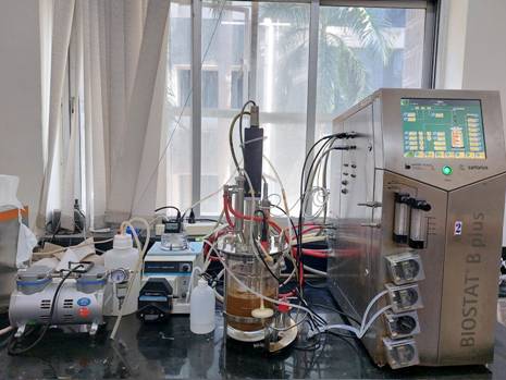 Continuous bio-hydrogen production in reactor. (PIB)