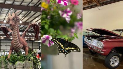 (L-r) An interactive exhibit on the world of dragons, butterflies, and classic hot rods at the San Mateo County Fair 2023 (Photos: Vansh A. Gupta/Siliconeer)