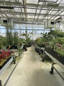 Page GenZ Lead EnvironmentalScience Sonal 03