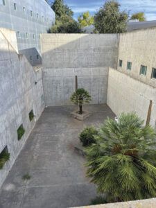 Page GenZ Lead EnvironmentalScience Sonal 04