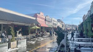 PAGE TRAVEL TRUCKEE 10