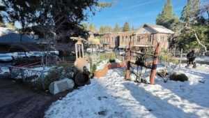 PAGE TRAVEL TRUCKEE 16