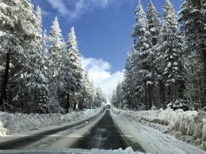 PAGE TRAVEL TRUCKEE 18