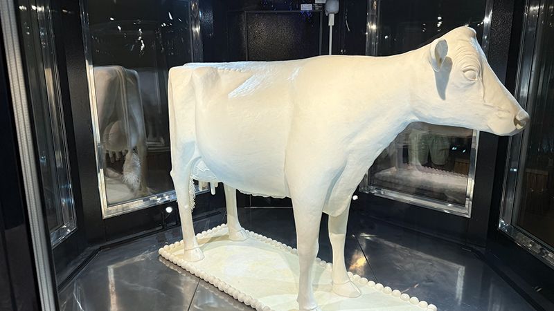 Page Travel Dc Img 4471 Cow made of butter, Renwick Gallery. (Janam Gupta/Siliconeer)