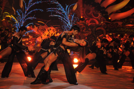 iifa-2010-siliconeer-hires-photos_page_134