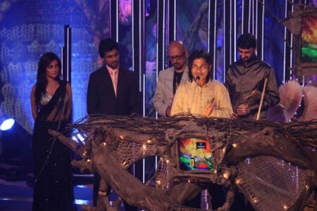 iifa-2010-siliconeer-hires-photos_page_162