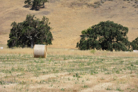 Views of the Coyote Valley Open Space Preserve, opening June 27, in San Jose, Calif. page-coyote-valley-04