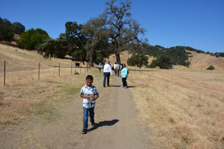Views of the Coyote Valley Open Space Preserve, opening June 27, in San Jose, Calif. page-coyote-valley-05