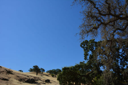 Views of the Coyote Valley Open Space Preserve, opening June 27, in San Jose, Calif. page-coyote-valley-06