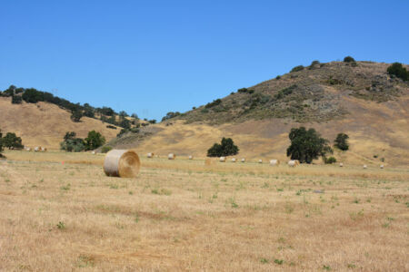 Views of the Coyote Valley Open Space Preserve, opening June 27, in San Jose, Calif. page-coyote-valley-07