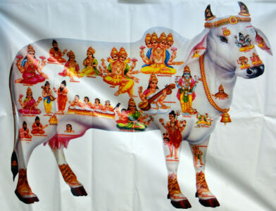 page-skbt-2017-janamashtami-25