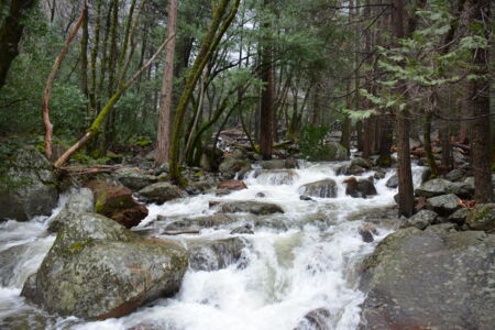 yosemite-travel-web-only-06