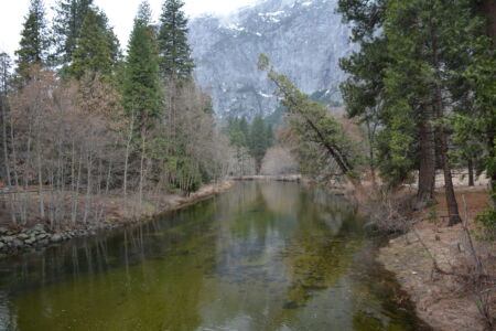 yosemite-travel-web-only-08