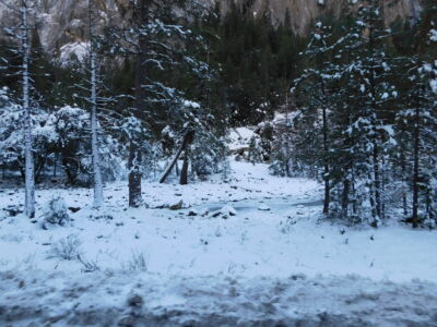 yosemite-travel-web-only-13