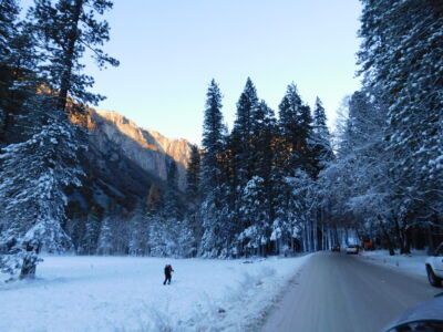yosemite-travel-web-only-19