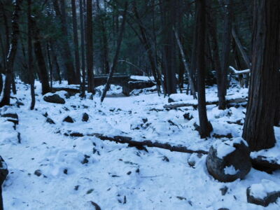 yosemite-travel-web-only-21