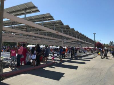 page-fog-india-day-2019-03