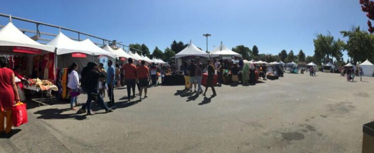 page-fog-india-day-2019-06