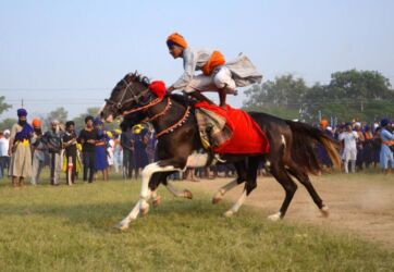 Nihang Sikhs show their skills during Fateh Diwas, a religious procession taken out to mark the Bandi Chorh Diwas in Amritsar. (APHIMAGES)